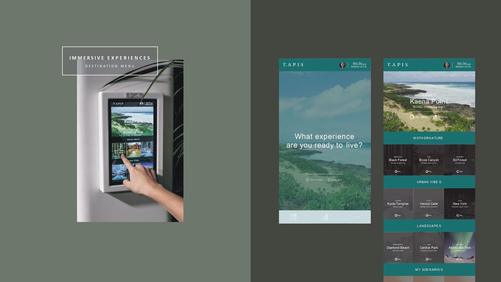 owalk_interfaces